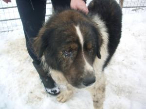 Прикачена снимка