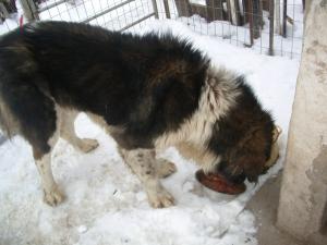 Прикачена снимка
