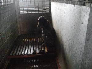 Прикачена снимка