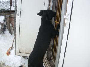 Прикачена снимка