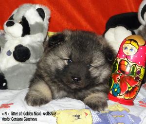 Прикачена снимка