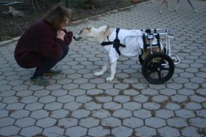 Прикачена снимка