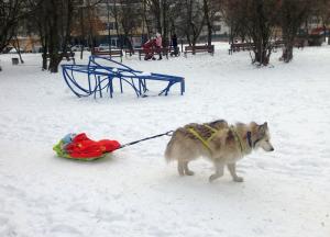 Прикачена снимка