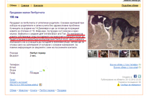 Прикачена снимка
