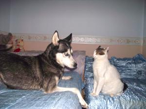 Прикачена снимка