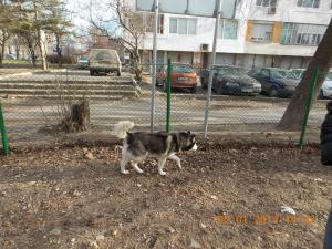 Прикачена снимка