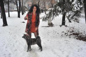 Прикачена снимка