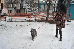 Прикачена снимка