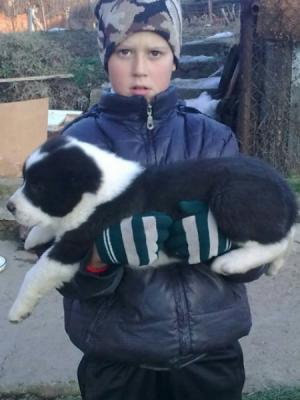 Прикачена снимка