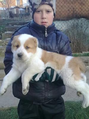 Прикачена снимка