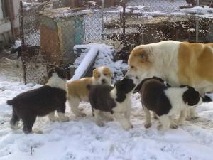 Прикачена снимка