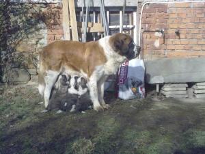 Прикачена снимка