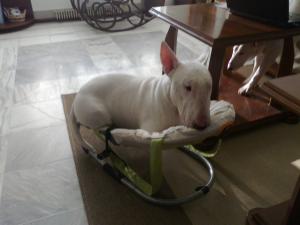 Прикачена снимка