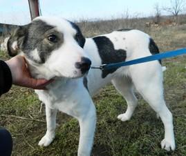 Прикачена снимка