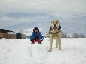 Прикачена снимка