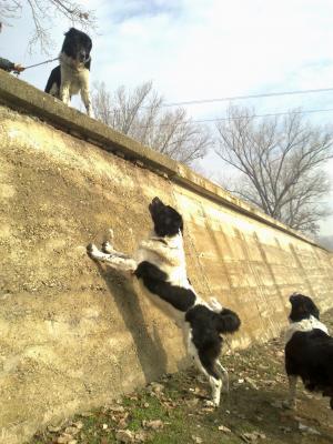 Прикачена снимка