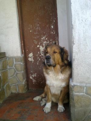 Прикачена снимка