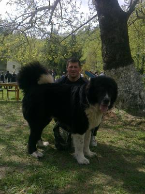 Прикачена снимка