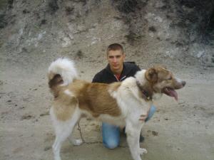 Прикачена снимка