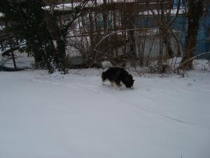 Прикачена снимка