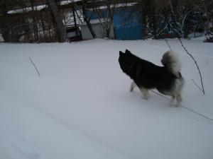 Прикачена снимка