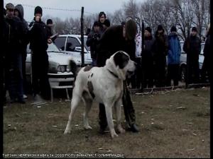 Прикачена снимка