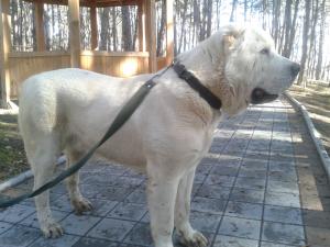 Прикачена снимка