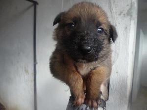 Прикачена снимка