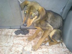 Прикачена снимка