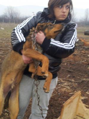 Прикачена снимка