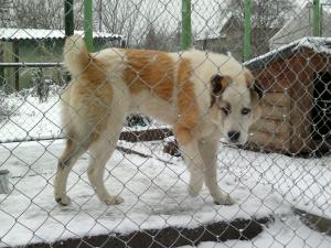 Прикачена снимка