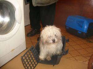 Прикачена снимка