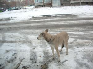 Прикачена снимка
