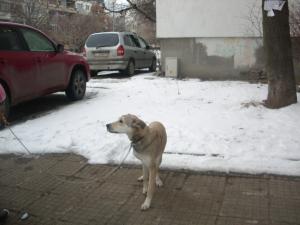 Прикачена снимка