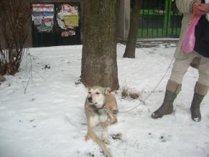 Прикачена снимка