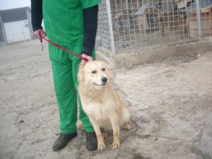 Прикачена снимка