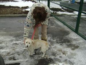 Прикачена снимка