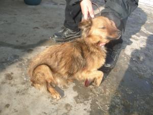 Прикачена снимка