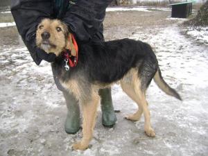 Прикачена снимка