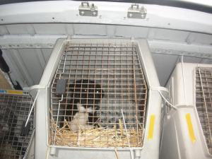 Прикачена снимка