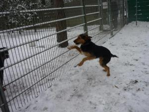 Прикачена снимка