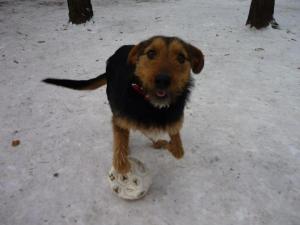 Прикачена снимка