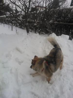 Прикачена снимка