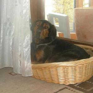 Прикачена снимка