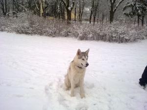 Прикачена снимка