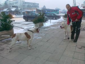 Прикачена снимка
