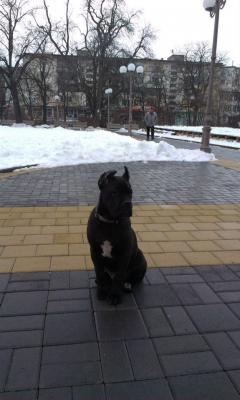 Прикачена снимка