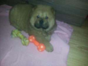Прикачена снимка