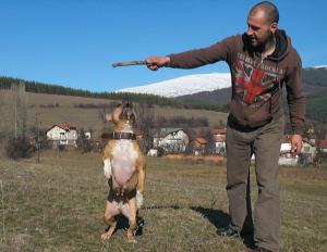 Прикачена снимка