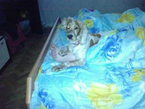 Прикачена снимка